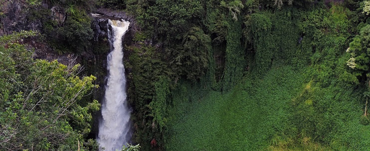 Hawaii’s Hidden Waterfall Hiking Tours