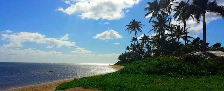 December Events In Hawaii 