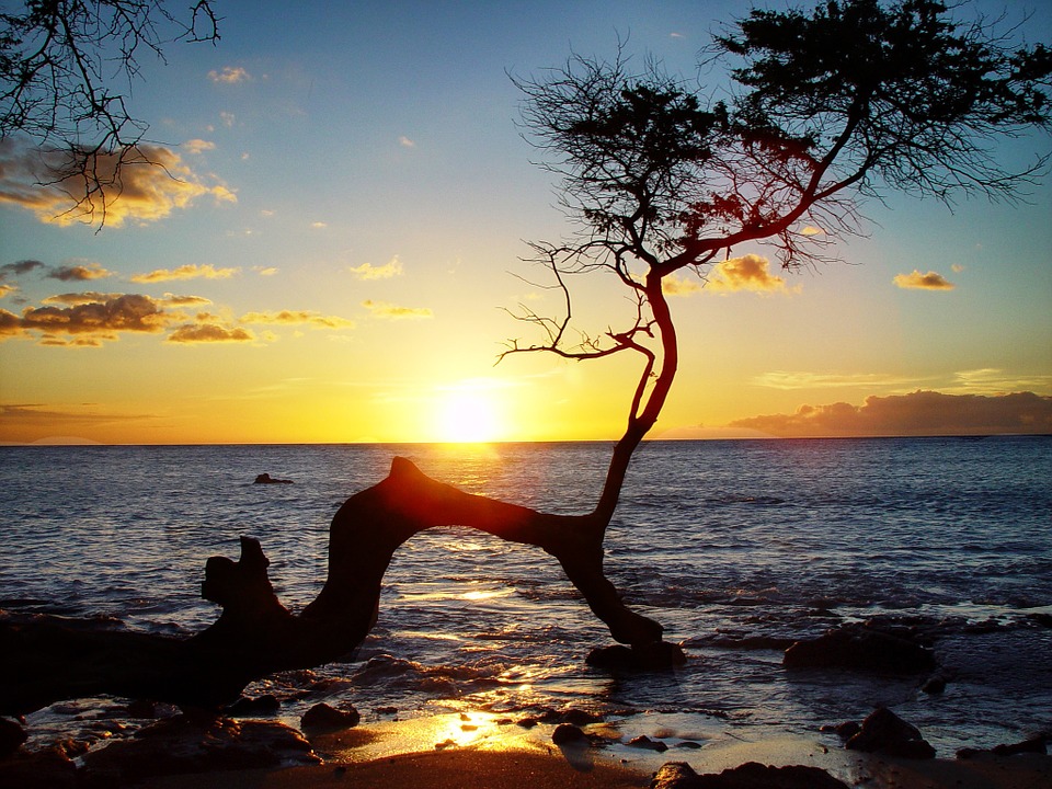 Hawaii Sightseeing – More than Beautiful Beaches 
