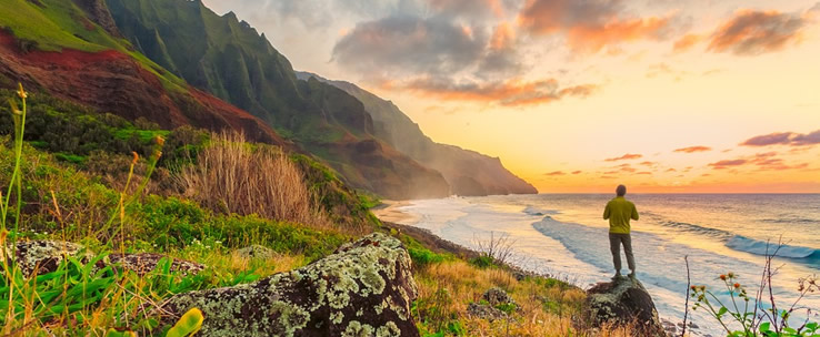 Why Group Tours in Hawaii 