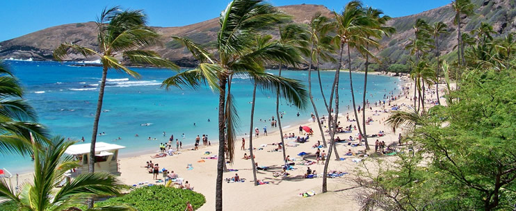 How to Make Planning Your Hawaii Vacation Easy 