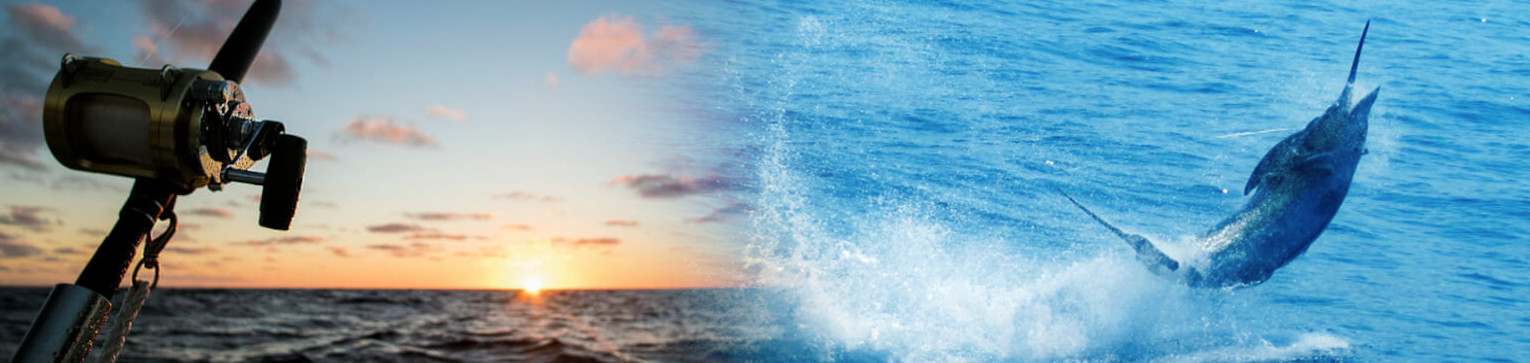 hawaii fishing tours