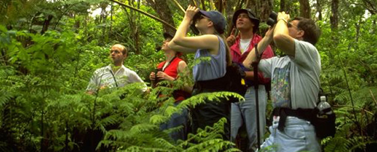 hawaii nature tours
