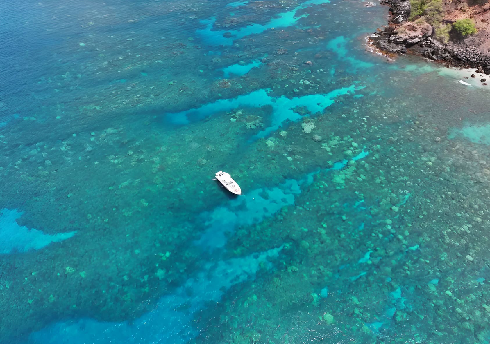 Hawaii Nautical Maui Luxury Snorkel Cruise