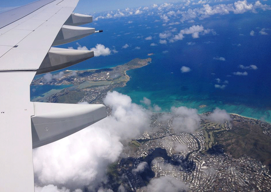 Worth The Long Flight