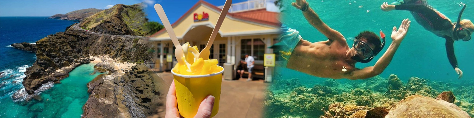 Hawaii Turtle Tours - Northshore Circle Island Tour Adventure 