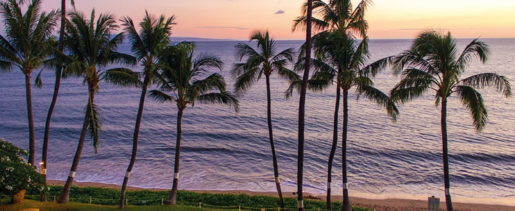 Kapalua Beach Maui