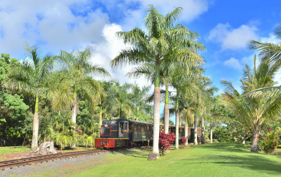 Kauai Waterfall, Plantation and Train Ride