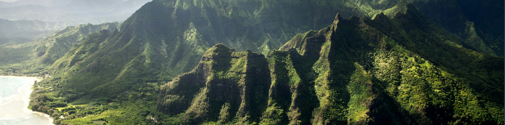 Kauai Vendors