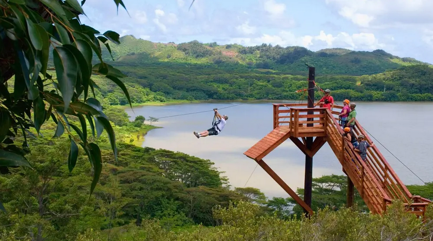 COLLAPIA 　コラピア koloa-zipline.png