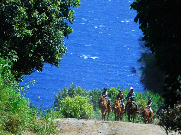 Maui Horseback Riding