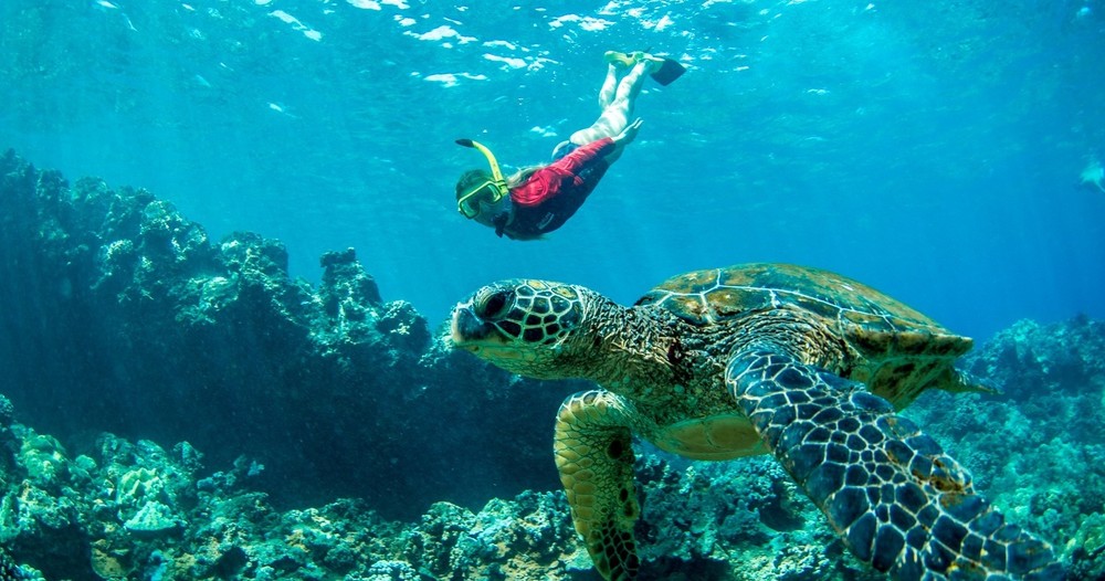 Maui Snorkeling