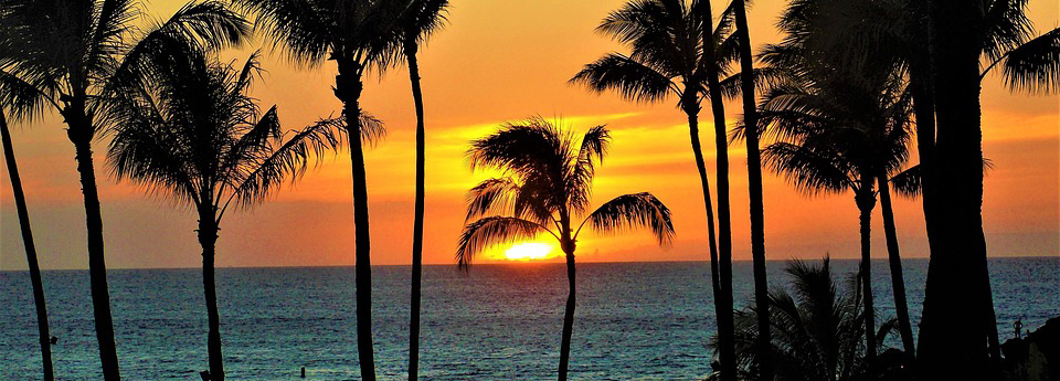 Which Hawaiian Island Should I Visit? 