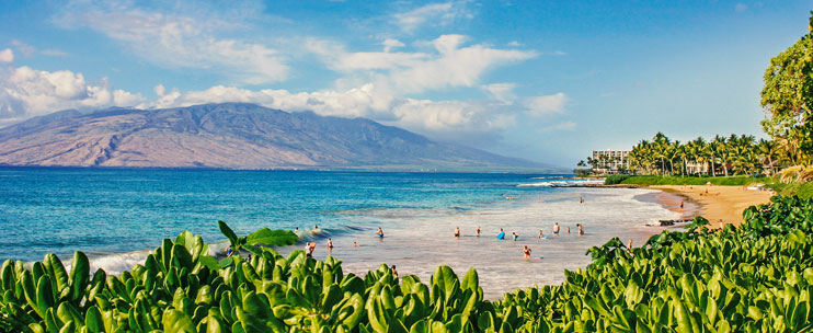 maui activites