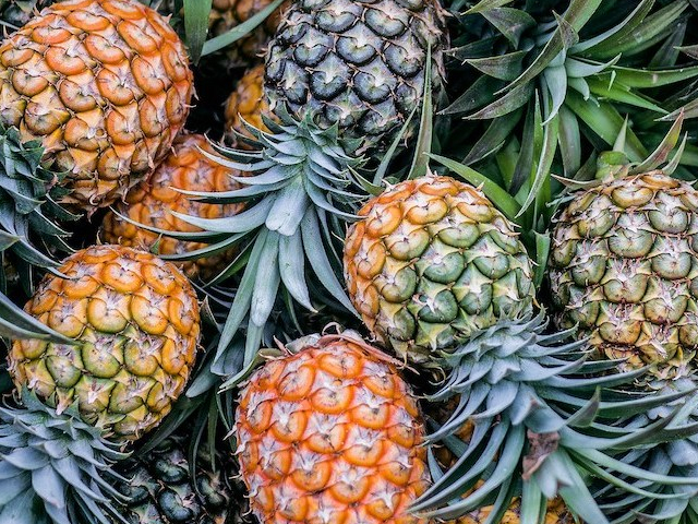 Maui Pineapple Company tours 