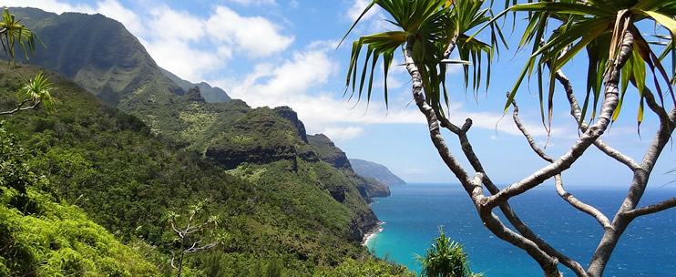 Celebrate Nature on a Hawaii Eco Adventure