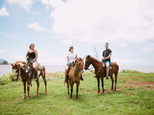 North Shore Stables