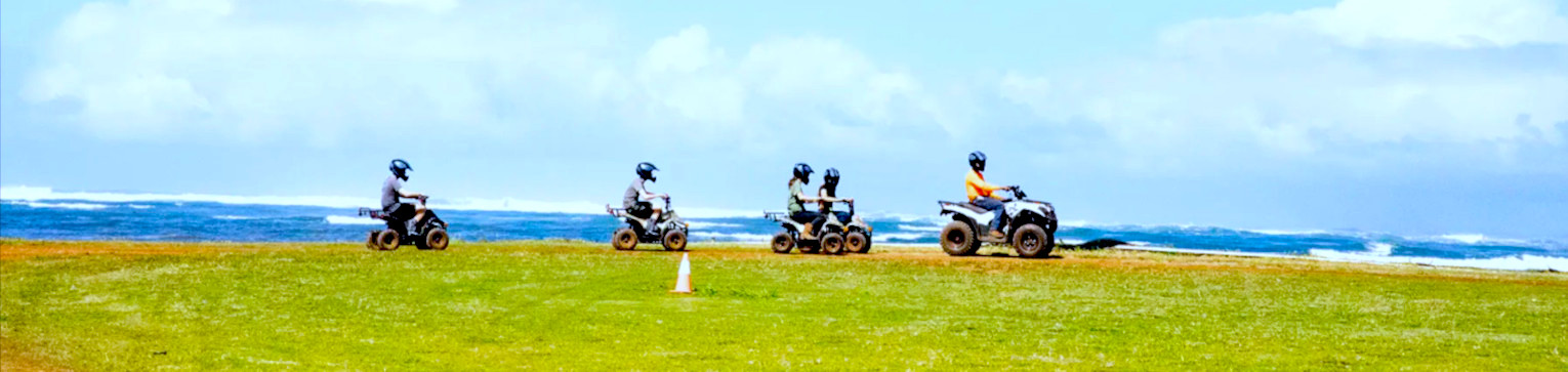 North Shore Stables Oahu