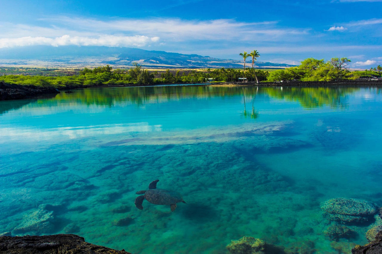 Hawaii Inter-Island Tours 