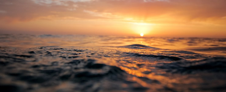 Bargain Oahu Sunset Dinner Cruises 