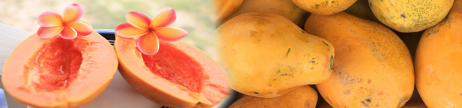 Maui Pineapple & Papaya Delivery 