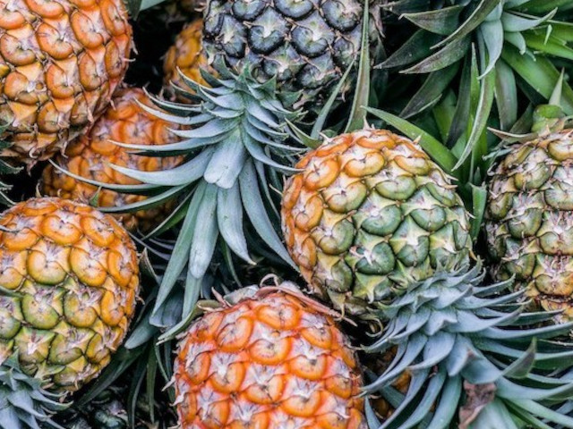 Pineapple Guy 