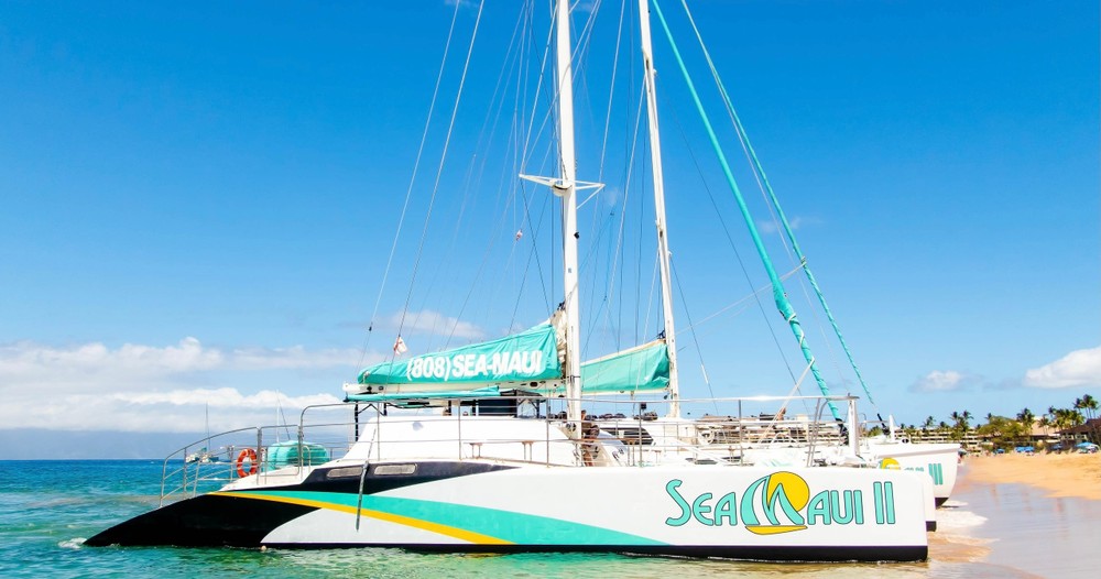 Sea Maui - Whale Watch Tour