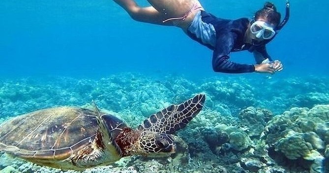 Guided snorkel tour in Hawaii with vibrant reefs and abundant marine life
