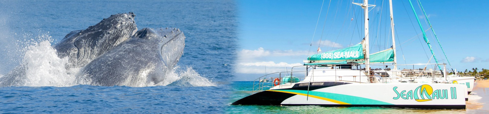 Sea Maui