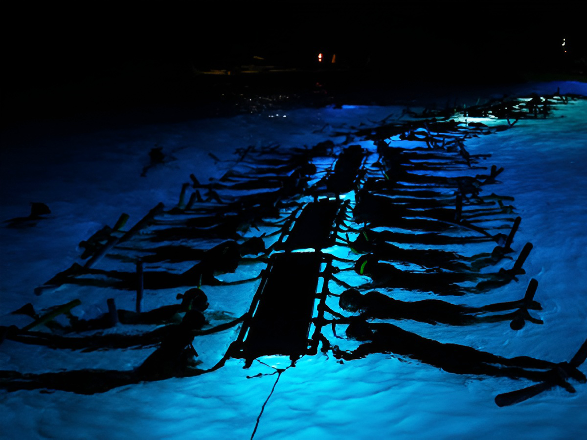 Sea Paradise - Moonlight Manta Ray Snorkeling Tour