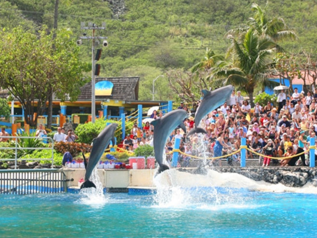 Sea Life Park Hawaii