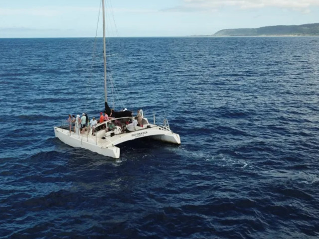 North Shore Catamaran - Surf Scene Safari 