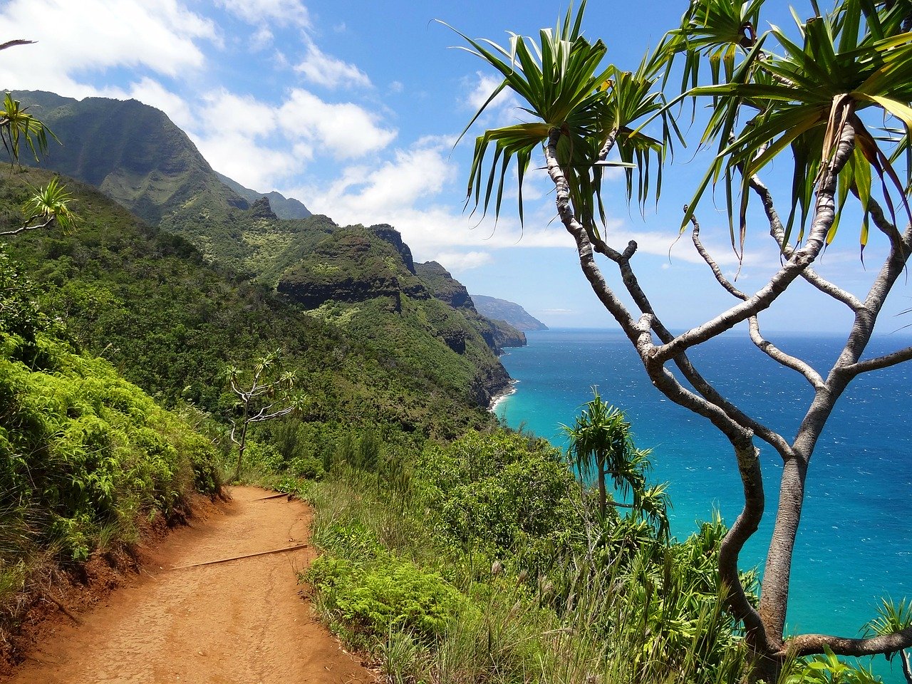 How to Have Fun on a Hawaii Group Vacation