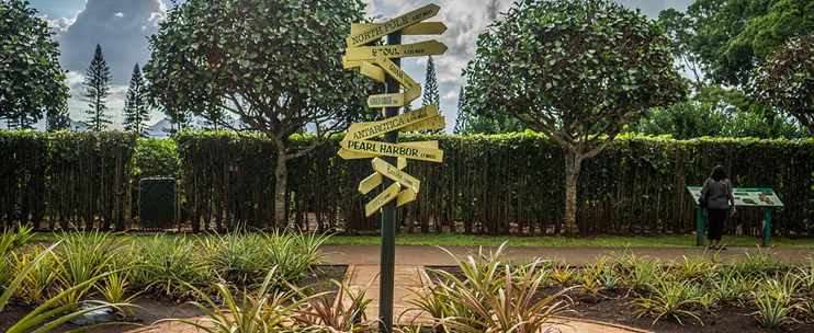 Hawaii Destinations - Dole Pineapple Plantation