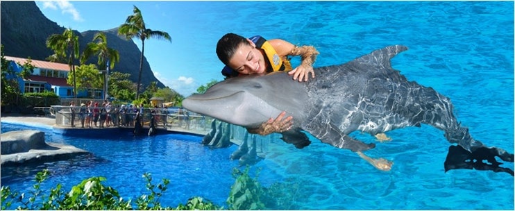 Family Fun on Oahu at Sea Life Park