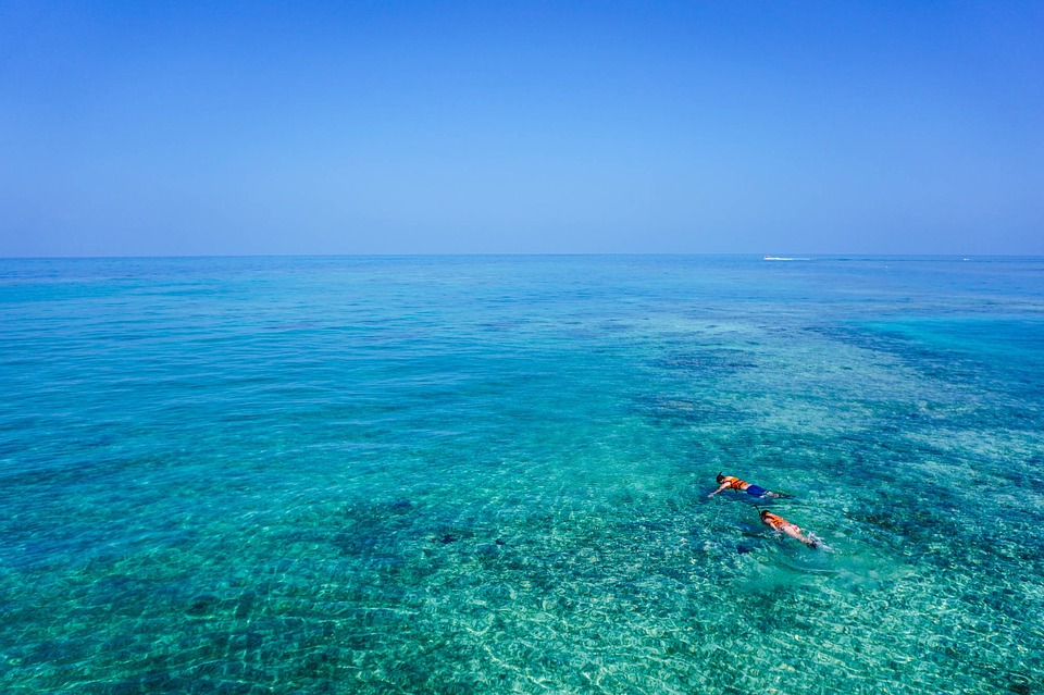 Hawaii Group Tours – Snorkeling in Hawaii