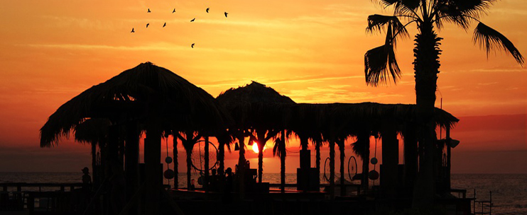 Want to Try Some Hawaii Tours? First, Check Out This Beginner’s Guide to Hawaii 