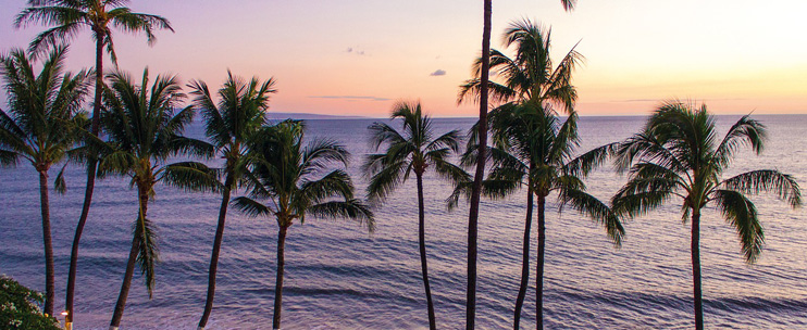 Create a Memorable Vacation with Hawaii Group Tours