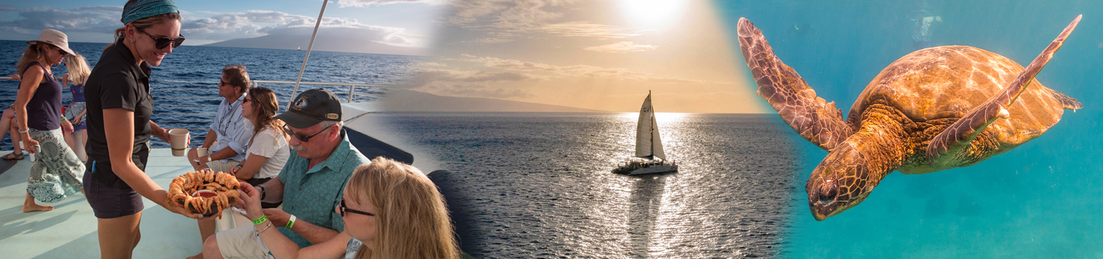 Pacific Whale Foundation - Maui Snorkel & Sunset Sail 