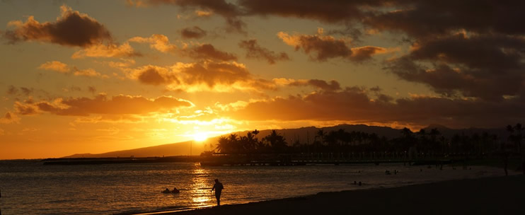 here to Take in a Hawaiian Sunset 