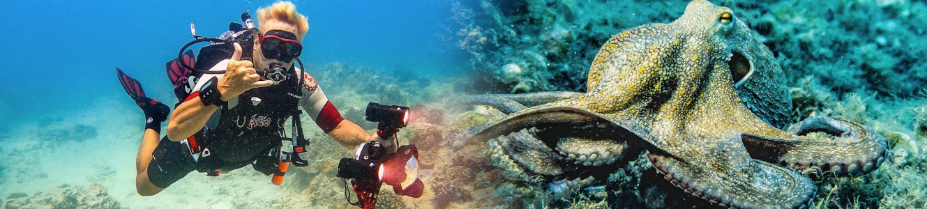 waikiki dive center certified and beginners