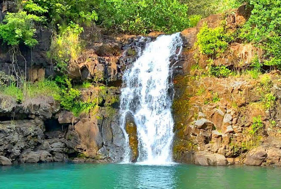 Waimea Bay