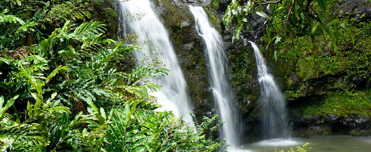 Ideas for Fun Group Tours in Hawaii