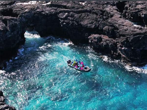 航海 Captain Zodiac - Marine Wildlife Excursion - Hawaii Discount